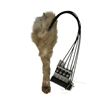 Image 4 : Animatronic Wolf Leg Movie Props