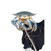 Image 1 : Animatronic Crab Movie/TV Props