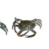Image 7 : Animatronic Crab Movie/TV Props