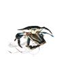 Image 8 : Animatronic Crab Movie/TV Props