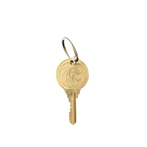 MGM Grand Lion Key Room 2076