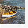 Image 2 : Coastal Shoal by Powell, John
