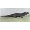 Image 2 : Large Cast Iron Garden Alligator