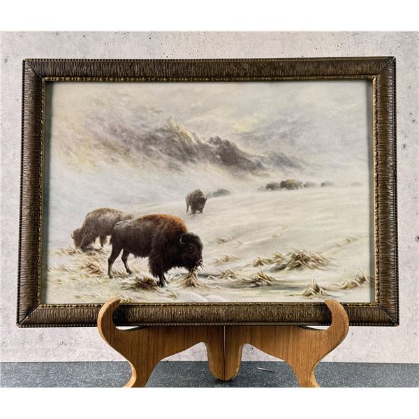Antique Buffalo Print