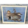 Walter Shull Duck Print