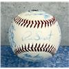 Image 6 : Navegantes del Magallanes Team Signed Baseball
