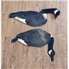 Image 3 : Dupe-A-Goose Folding Goose Decoys