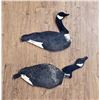 Image 4 : Dupe-A-Goose Folding Goose Decoys