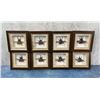 Image 1 : Japanese Rhinoceros Beetles In Frames Entomology