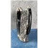 Image 2 : Prepared Orthoceras Fossil Group