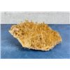 Image 1 : Selenite Crystal Cluster Mineral Specimen