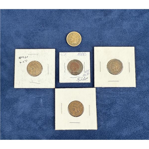 Collection of Indian Head Cents Pennies