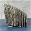 Image 4 : Fossil Wooly Mammoth Tooth Bookends