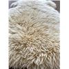 Image 3 : Wool Sheep Skin Rug Hide