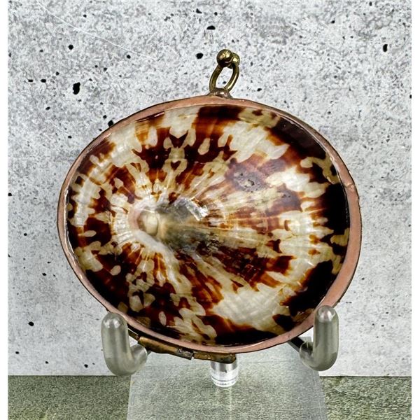 Seashell Trinket Box Coin Purse