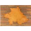 Image 1 : Tanned Leather Montana Elk Hide