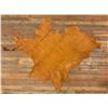 Image 2 : Tanned Leather Montana Elk Hide