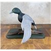 Image 2 : Landing Duck Wood Carving