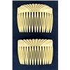 French Lucite Hair Combs