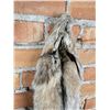 Image 3 : Beautiful Alaskan Lynx Fur Pelt Taxidermy