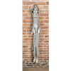 Image 2 : Beautiful Alaskan Lynx Fur Pelt Taxidermy