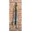 Image 1 : Beautiful Kit Fox Fur Pelt Taxidermy