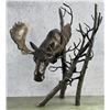 Image 1 : Mark Hopkins Solitude Moose Bronze
