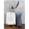 Image 1 : Ken Carder Art Glass Leaping Trout Vase