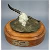 Image 3 : L.W. Johnson Hard Winter Cow Skull Bronze