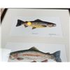 Image 2 : Alan James Robinson Trout Prints