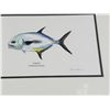 Image 2 : Permit Trachinotus falcatus Fish Print