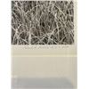Image 2 : Edward Riddell Big Sandy Grasses Photo