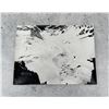 Image 1 : Herbert Bayer Silver Gelatin Photo