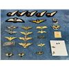 Image 1 : Collection of European Pilot Wings Badges