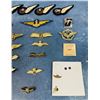 Image 3 : Collection of European Pilot Wings Badges