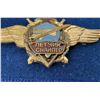 Image 4 : Soviet Air Force Pilot Wings
