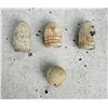 Image 2 : Collection of Civil War Lead Bullets