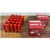 Image 5 : .410ga Shotgun Shells and .50 Cal Bullets