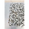 Image 2 : Large Collection of Fossil Shark Teeth