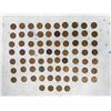 Collection of Lincoln Wheat Pennies