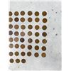 Image 4 : Collection of Lincoln Wheat Pennies