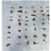 Image 2 : Collection of Montana Fly Fishing Flies