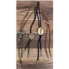 Image 1 : Collection of Cowboy Bolo Ties