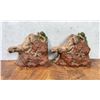 Image 1 : Mountain Lion Bookends