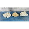 Image 2 : Assorted Mineral Specimens