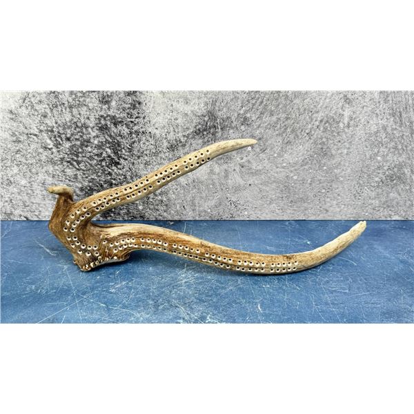 Montana Made Elk Antler Cribbage Board