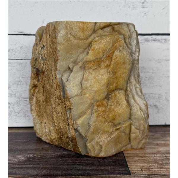 Montana Agatized Petrified Wood Specimen