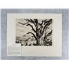 Image 1 : Sam Thal Chad's Place Etching