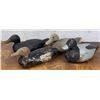 Image 1 : Collection of Wood Duck Hunting Decoys