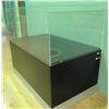 Image 1 : Clear Display Case on Solid Base 60" x 36" x 53"H